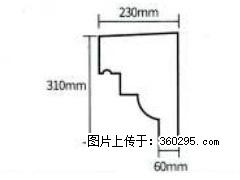 产品分解图型 - 檐口线，型号：SX311-YK-3，规格：230x310mm(3) - 资阳三象EPS建材 zy.sx311.cc